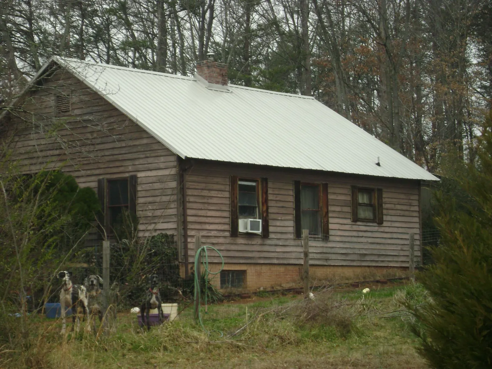White metal roof on an old wood sided farmhouse, from a Metal Roof Installation job in Eagle Lake